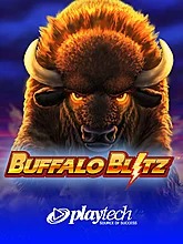 buffalo-blitz